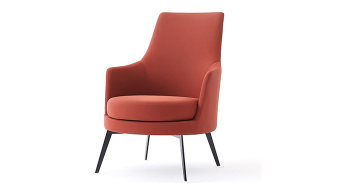 Modern lounge chair with iron leg